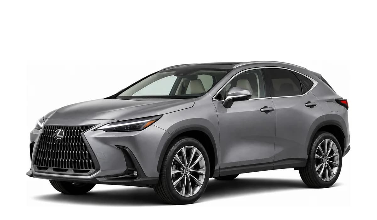 NX 350
